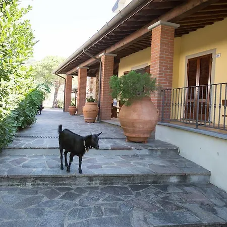 Farma Agriturismo Poggetto